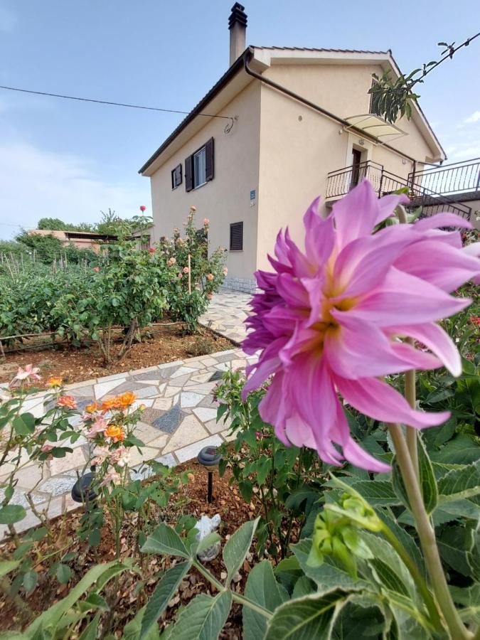 Apartments Rusin Linardici Ngoại thất bức ảnh