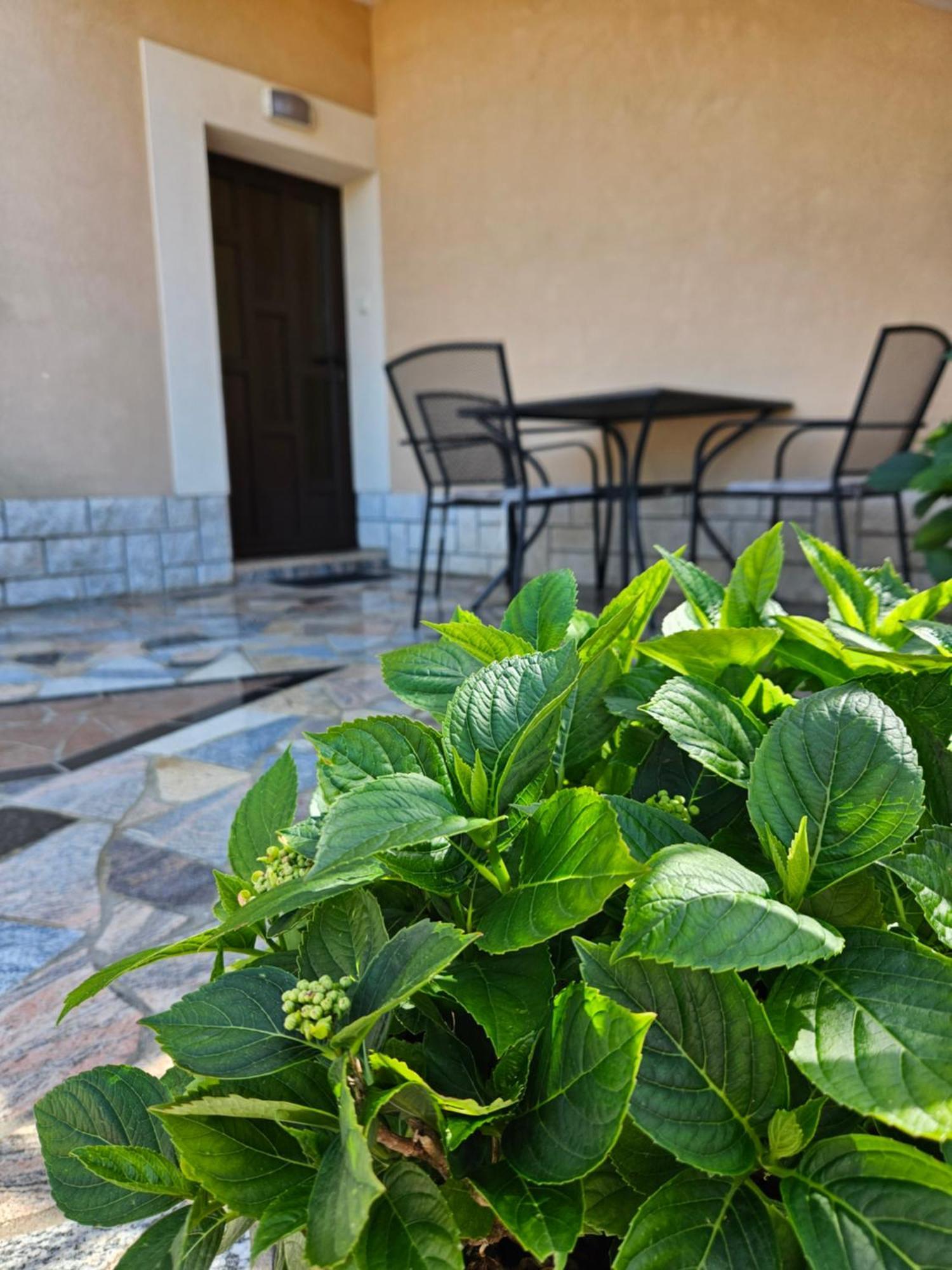 Apartments Rusin Linardici Phòng bức ảnh